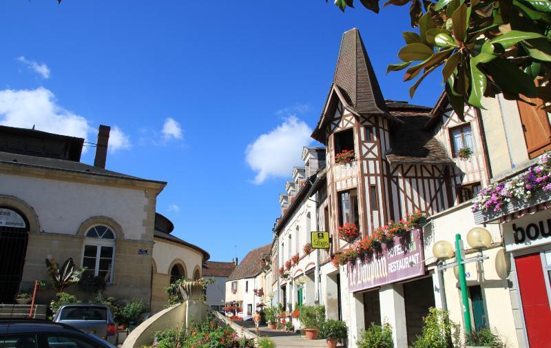 Logis Hotel Et Restaurant Du Dauphin Се Экстерьер фото